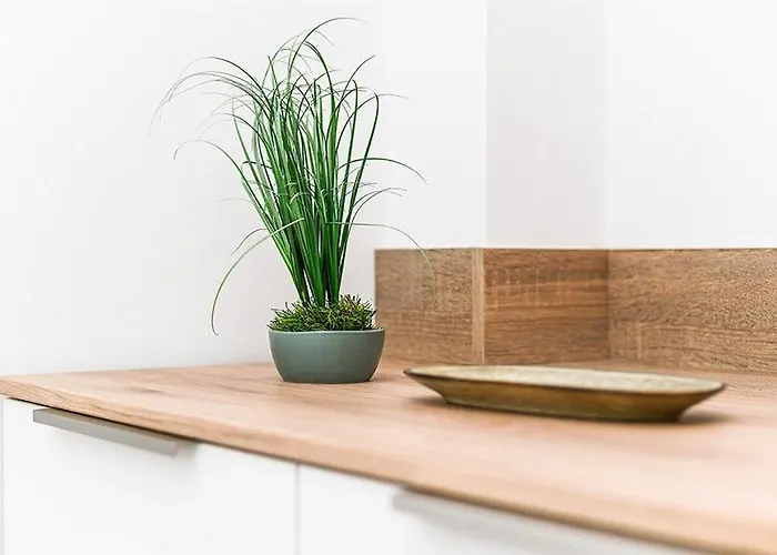 Seeperle Meerleben Botel Carolinensiel